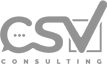 CSV Consulting